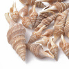 Spiral Shell Beads X-SSHEL-S258-07-1