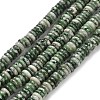 Natural Green Spot Jasper Beads Strands G-Q159-B35-01-2