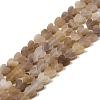 Handmade Lampwork Beads Strands LAMP-Q035-01O-1