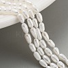 Natural Cultured Freshwater Pearl Beads Strands PEAR-P062-01E-1