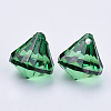 Transparent Acrylic Pendants TACR-Q260-E-V17-3