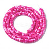 Natural Trochus Shell Beads Strands SHEL-S278-027E-2