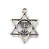 Tibetan Style Alloy Pendants FIND-G078-14AS-1