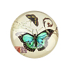 Butterfly Printed Glass Cabochons GGLA-N004-12mm-C01-1