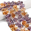 Natural Ametrine Beads Strands G-L634-G01-01-1