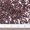 MIYUKI Round Rocailles Beads SEED-JP0008-RR4503-4