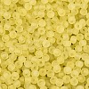 FGB Frosted Transparent Glass Seed Beads SEED-N013-02A-02-3