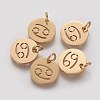 Ion Plating(IP) 304 Stainless Steel Pendants A-STAS-Q201-T445-4G-1