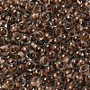 Transparent Glass Round Seed Beads SEED-B001-05A-20-3
