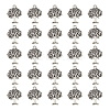 Tibetan Style Alloy Pendants FIND-DC0006-12C-1