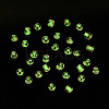 Glow in the Dark Luminous Transparent 8/0 Glass Seed Beads SEED-YWC0001-01I-7