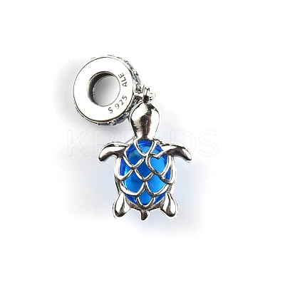Sterling Silver European Dangle Charms FIND-WH0110-027-1