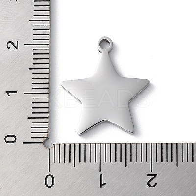 Non-Tarnish 304 Stainless Steel Pendants STAS-D025-04P-02-1