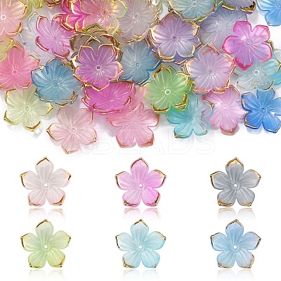 120Pcs 6 Colors Transparent Acrylic Bead Caps TACR-YW0002-44-1