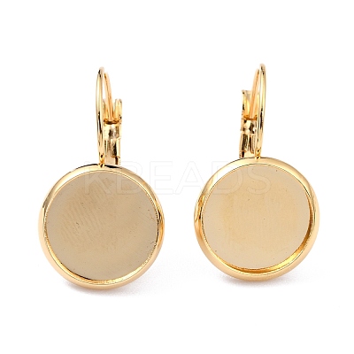 304 Stainless Steel Leverback Earring Settings STAS-F191-03G-18mm-1