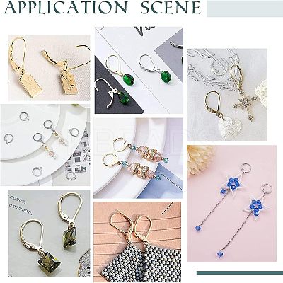 120Pcs 2 Style 304 Stainless Steel Leverback Earring Findings STAS-UN0038-45-1