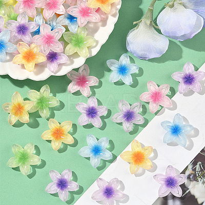 50Pcs 5 Colors Transparent Resin Cabochons RESI-SC0006-24-1