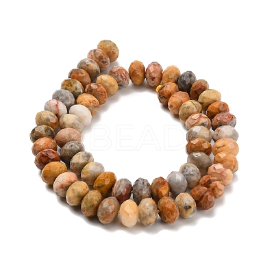 Natural Crazy Agate Beads Strands G-C259-A04-8x12mm-1