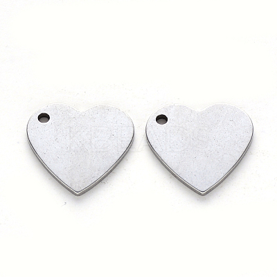 Tarnish Resistant 201 Stainless Steel Charms STAS-N092-51-1