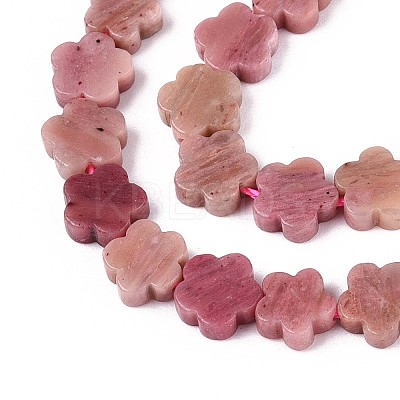 Natural Rhodonite Beads Strands G-N257-24A-09-1