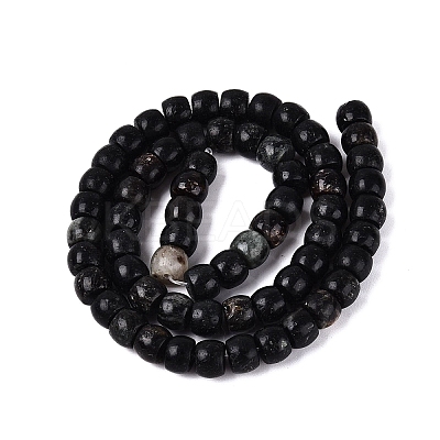 Natural Biotite Beads Strands G-Q616-02A-12-1