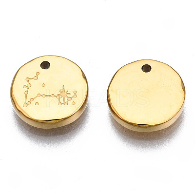 316 Surgical Stainless Steel Charms LS-STAS-S116-418L-G-1