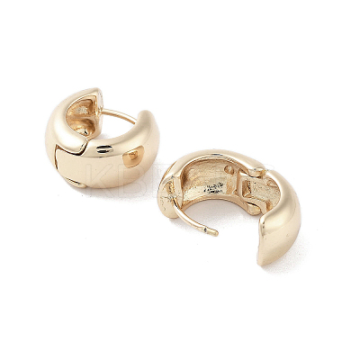 Oval Alloy Thick Hoop Earrings for Women EJEW-H309-03KCG-1
