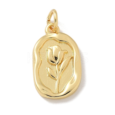 Brass Pendants KK-M300-23G-1