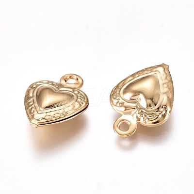 304 Stainless Steel Charms STAS-I138-14G-1