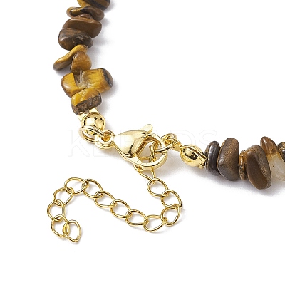 Natural Tiger Eye Chip Beaded Necklace NJEW-JN04616-08-1