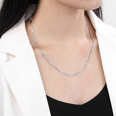 Non-Tarnish 304 Stainless Steel Flat Snake Chain Necklaces for Women LS-NJEW-D058-04P-1