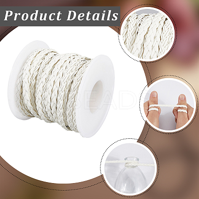 10M Flat Braided Imitation Leather Cords LC-CL0001-04D-1