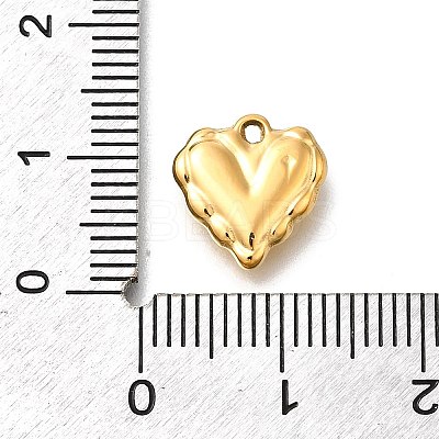 304 Stainless Steel Charms STAS-R159-40G-01-1