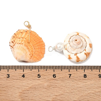 50Pcs Natural Mixed Shell Charms and Pendant Decoration Kits SSHEL-XCP0001-13-1