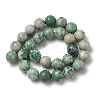 Natural Green Spot Jasper Beads Strands G-F818-A05-14mm-1