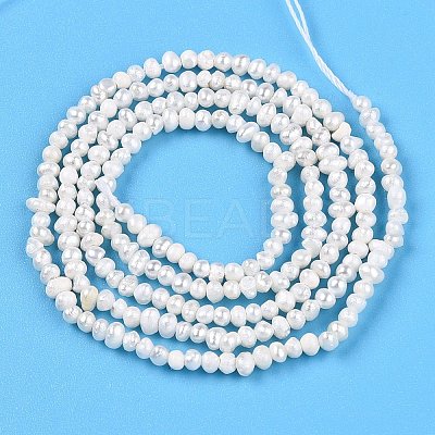 Natural Cultured Freshwater Pearl Beads Strands PEAR-N013-01-1