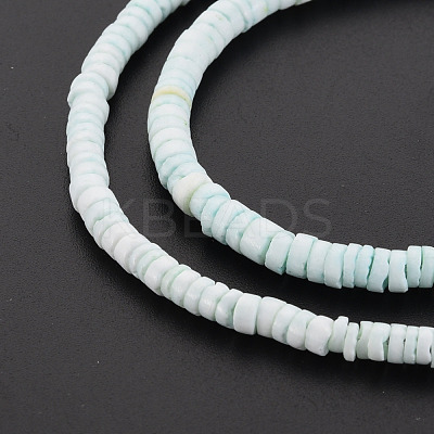 Sea Shell Beads Strands SSHEL-T014-49-1