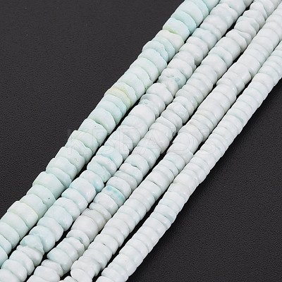 Sea Shell Beads Strands SSHEL-T014-49-1