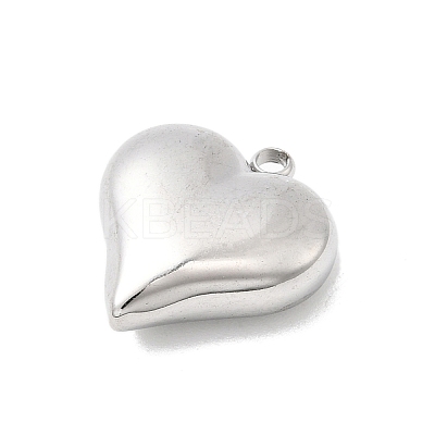 304 Stainless Steel Pendants STAS-B113-04C-P-1