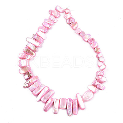 Natural Freshwater Shell Beads Strands SHEL-N026-123B-1
