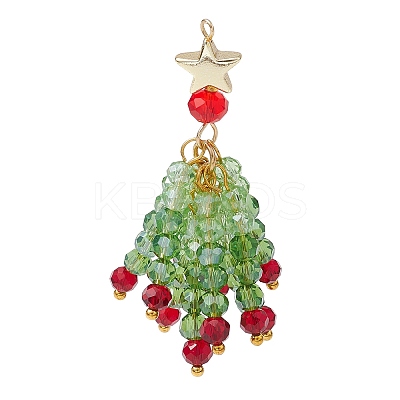 3Pcs Glass Beaded Tassel Big Pendants PALLOY-JF02983-1