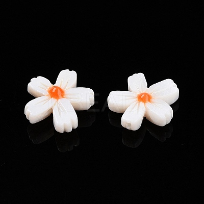 Natural Freshwater Shell Beads Strands X-SHEL-F004-04-01-1