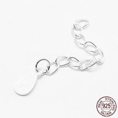 925 Sterling Silver Extender Chains STER-F032-11S-1