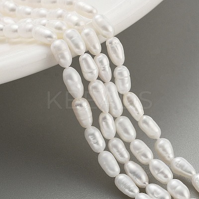 Natural Cultured Freshwater Pearl Beads Strands PEAR-P062-01E-1