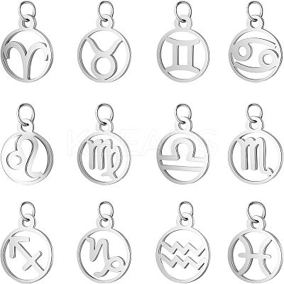 304 Stainless Steel Charms STAS-UN0003-66P-1