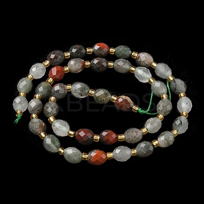 Natural Bloodstone/Heliotrope Stone Beads Strands G-F809-A13-01-1
