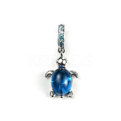 Sterling Silver European Dangle Charms FIND-WH0110-027-1