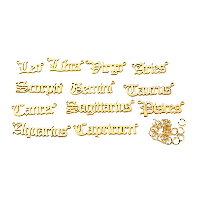 12Pcs 12 Style Ion Plating(IP) 201 Stainless Steel Connector Charms STAS-SZ0002-39G-1