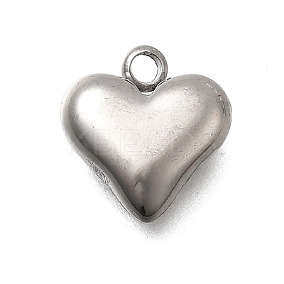 304 Stainless Steel Charms STAS-Z163-03P-1