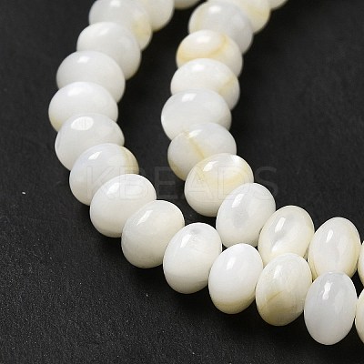 Natural Freshwater Shell Beads Strands BSHE-E026-15B-01-1
